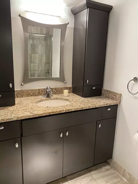 200 E Delaware Pl #14A, Chicago, IL 60611 photo 16