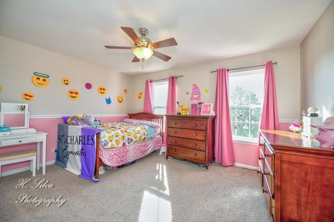 249 Sonora Dr, Elgin, IL 60124 photo 24