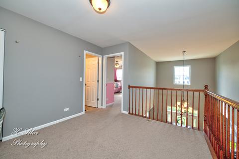 249 Sonora Dr, Elgin, IL 60124 photo 17