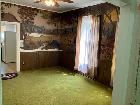 920 S Fourth St S, Aurora, IL 60505 photo 7