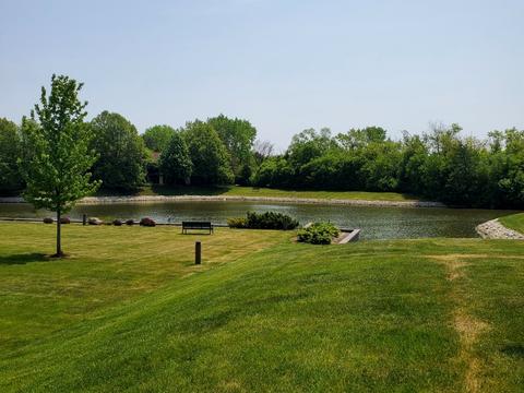 1048 Harbour Ct #2A, Wheeling, IL 60090 photo 20