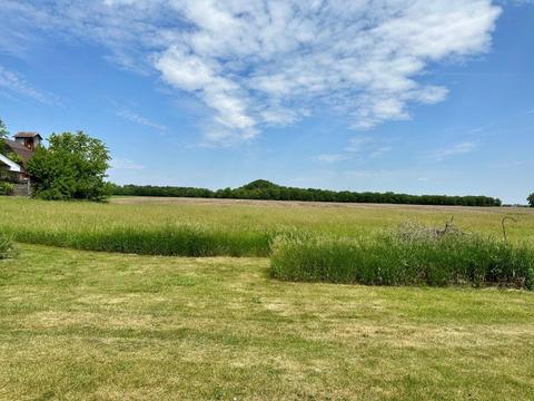 33749 E 2900 North Rd, Dwight, IL 60420 photo 40