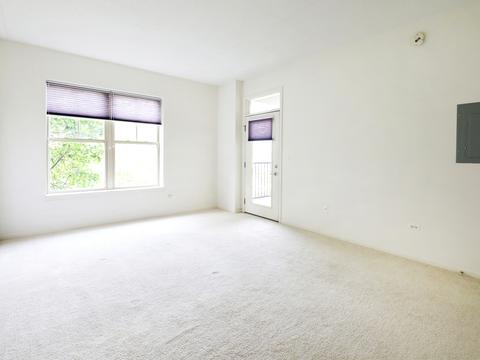 715 Astor Ln #405, Wheeling, IL 60090 photo 9