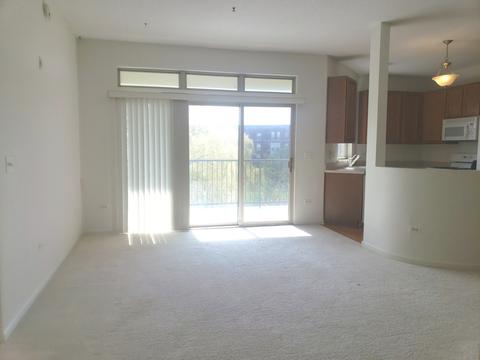 715 Astor Ln #405, Wheeling, IL 60090 photo 4