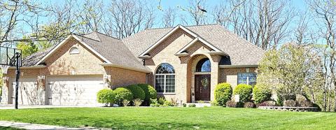 21343 S Wooded Cove Dr, Elwood, IL 60421