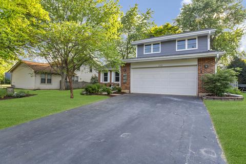 342 Terrace Dr, Bartlett, IL 60103 photo 4
