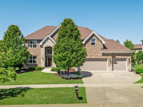 12800 Tullamore Ln, Lemont, IL 60439