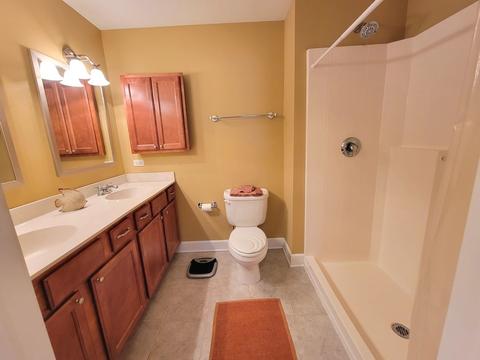 911 Keenan Ct, Beecher, IL 60401 photo 16