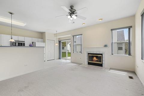 13748 S Hickory Ln, Plainfield, IL 60544 photo 9
