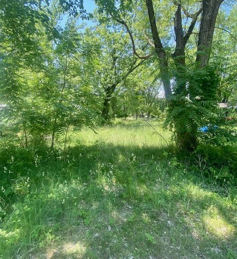24223 Woodhaven, Sublette, IL 61367