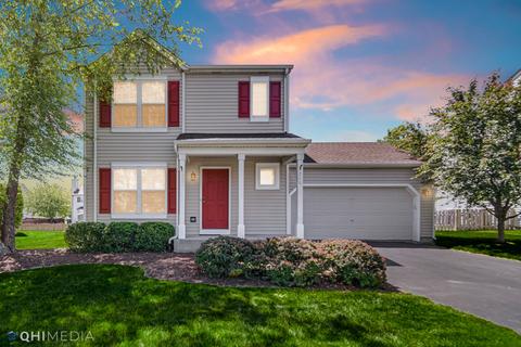 246 Switchgrass Dr, Minooka, IL 60447 photo 3