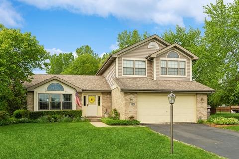 8129 Brickstone Dr, Frankfort, IL 60423