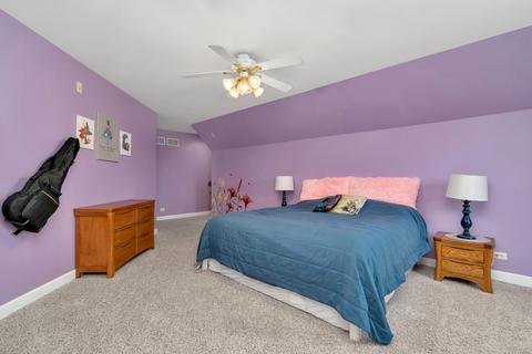 2821 Ninovan Ln, Minooka, IL 60447 photo 19