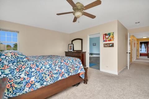 2821 Ninovan Ln, Minooka, IL 60447 photo 23