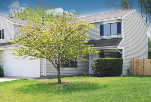 41 Buckingham Ln, Buffalo Grove, IL 60089