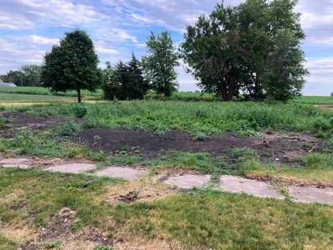 212 W Walnut St, Leonore, IL 61332 photo 2