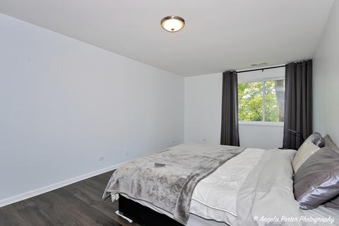 1243 E Baldwin Ln #210, Palatine, IL 60074 photo 13