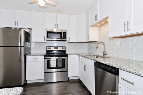 1243 E Baldwin Ln #210, Palatine, IL 60074 photo 4