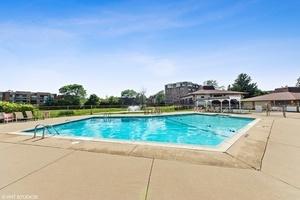 1243 E Baldwin Ln #210, Palatine, IL 60074 photo 20