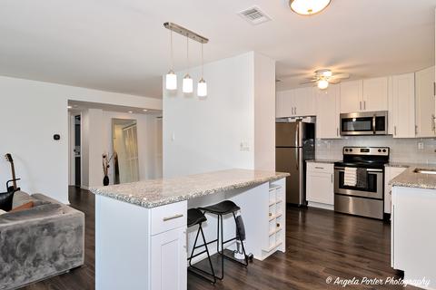 1243 E Baldwin Ln #210, Palatine, IL 60074 photo 7