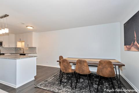 1243 E Baldwin Ln #210, Palatine, IL 60074 photo 8
