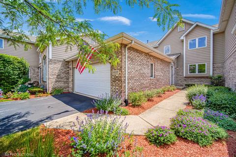 19337 Cormoy Ln, Tinley Park, IL 60487