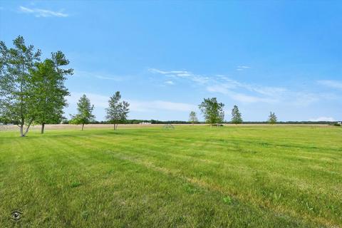2042 E Spring Rd, Mazon, IL 60444 photo 27