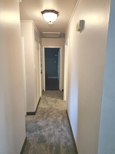 315 Wayne St, Park Forest, IL 60466 photo 5