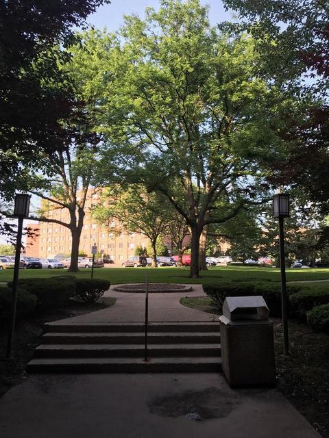 5310 N Chester Ave #326, Chicago, IL 60656