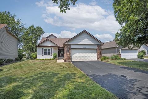 21064 W Hazelnut Ln, Plainfield, IL 60544 photo 2