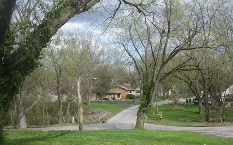 16436 Central Park Ave, Markham, IL 60428 photo 9