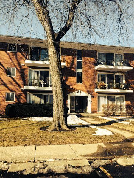 10117 Old Orchard Ct #204, Skokie, IL 60076