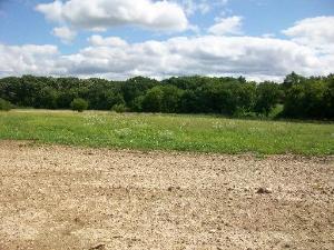 1711 Whispering Ridge Dr, Johnsburg, IL 60051