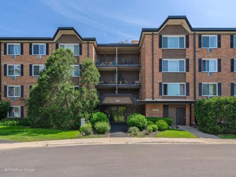 1217 S Old Wilke Rd #303, Arlington Heights, IL 60005