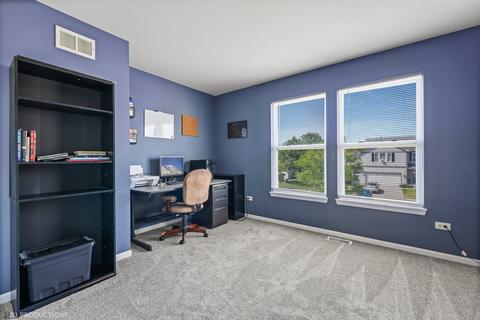 25503 Barrow Rd, Manhattan, IL 60442 photo 16