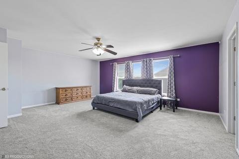 25503 Barrow Rd, Manhattan, IL 60442 photo 10