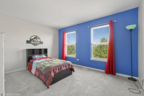 25503 Barrow Rd, Manhattan, IL 60442 photo 15