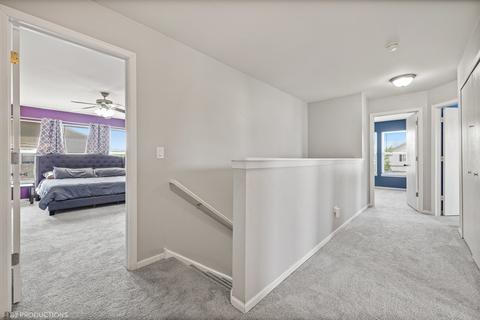 25503 Barrow Rd, Manhattan, IL 60442 photo 17
