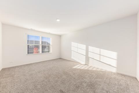 25504 W Ashton Dr, Plainfield, IL 60586 photo 24