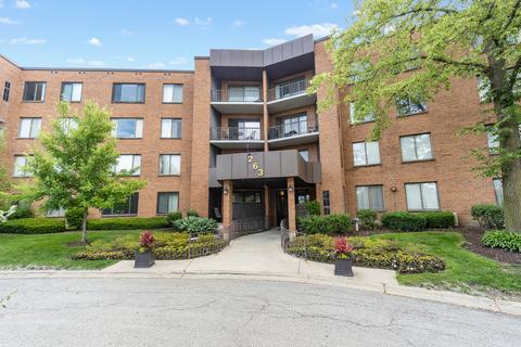 263 S Clubhouse Dr #306, Palatine, IL 60074