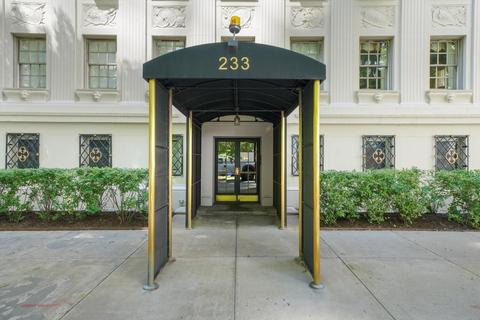 233 E Walton Pl #4, Chicago, IL 60611 photo 52