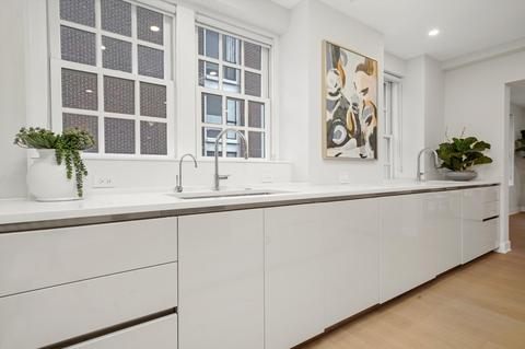 233 E Walton Pl #4, Chicago, IL 60611 photo 13