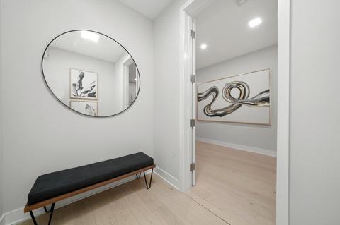 233 E Walton Pl #4, Chicago, IL 60611 photo 32