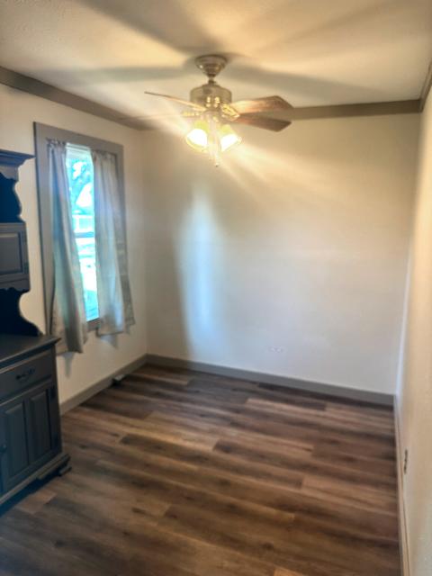 458 E Pine St, Paxton, IL 60957 photo 4