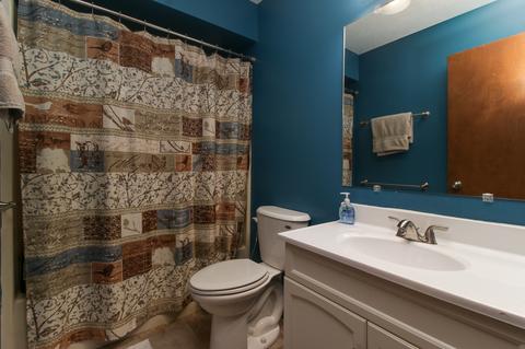 2008 Single Tree Ln, Bloomington, IL 61704 photo 15