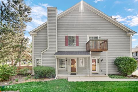 21 Windsor Cir #C, South Elgin, IL 60177