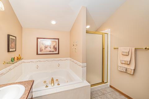 24163 Simo Dr, Plainfield, IL 60586 photo 10