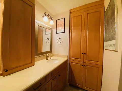 3 Chatham Cir, Kankakee, IL 60901 photo 31