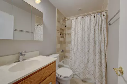 127 S Elroy Ave, Bartlett, IL 60103 photo 24