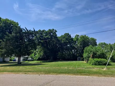 217 E Caroline St, Spring Valley, IL 61362 photo 6